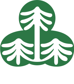 신성무늬목